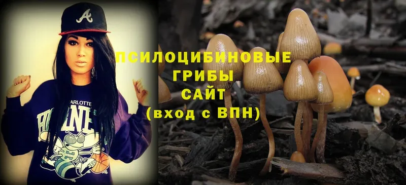 наркошоп  Учалы  Галлюциногенные грибы MAGIC MUSHROOMS 